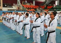 การใช้วิทยาศาสตร์การกีฬาในระบบเทควันโดสเปน